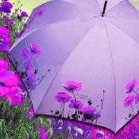 BARBARA VEE COLLECTION LONG AUTOMATIC WINDPROOF UMBRELLA . POPPIES - PURPLE