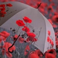 BARBARA VEE COLLECTION LONG AUTOMATIC WINDPROOF UMBRELLA . POPPIES - RED