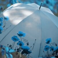 BARBARA VEE COLLECTION LONG AUTOMATIC WINDPROOF UMBRELLA . POPPIES - TURQUOISE